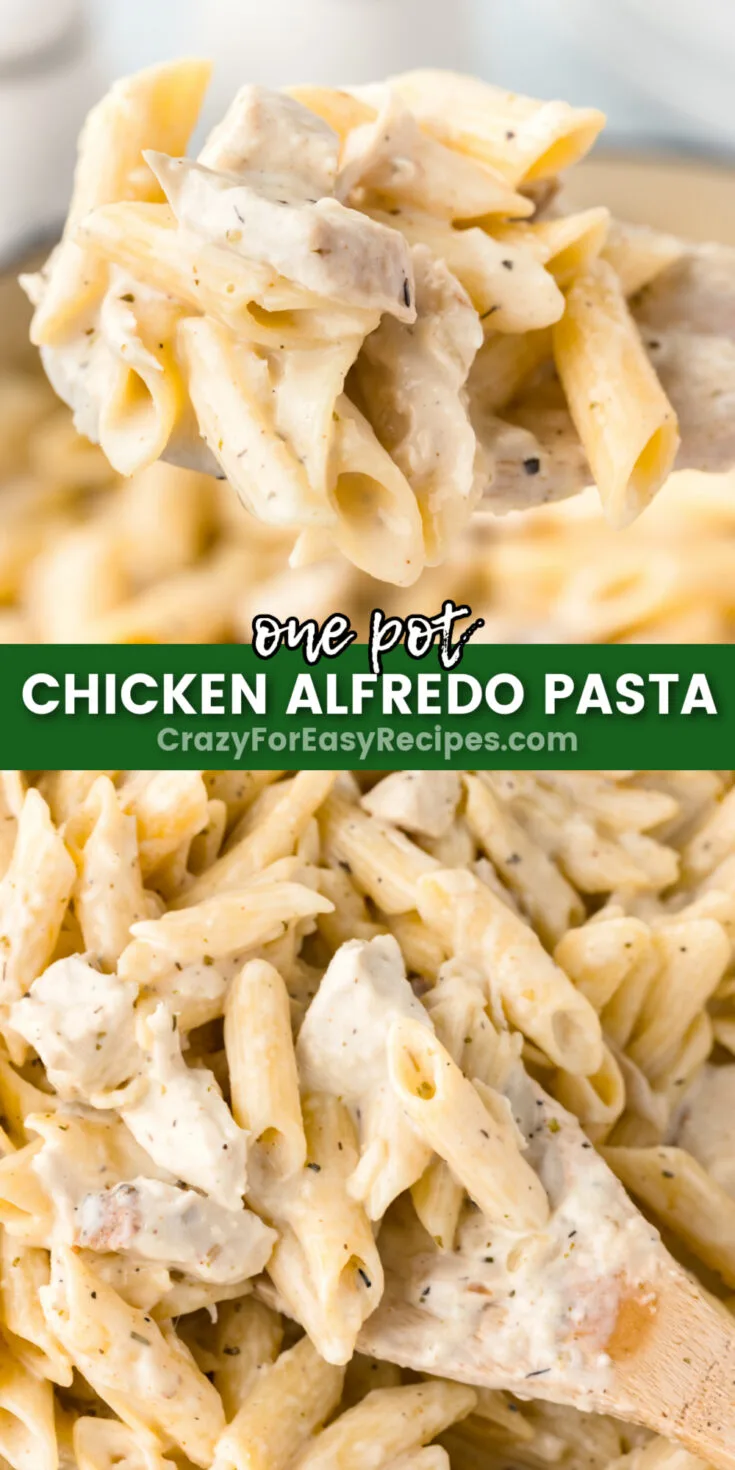 One Pot Chicken Alfredo Pasta - Crazy For Easy Recipes